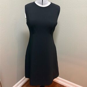 Elegant Black Sleeveless Dress